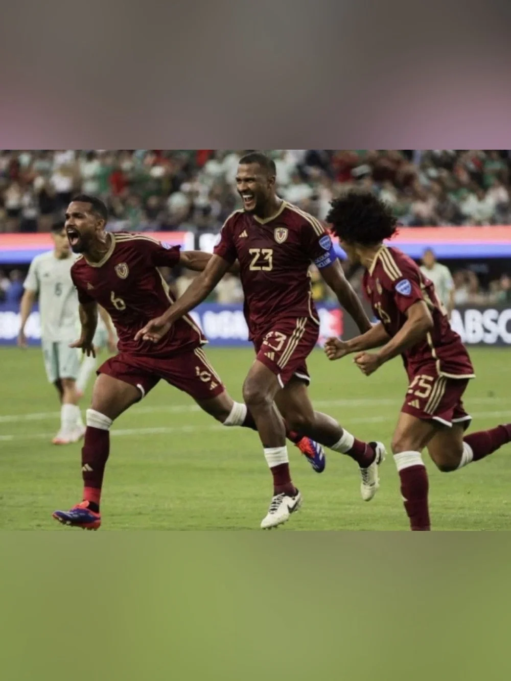 Adidas Authentic Venezuela National Team Vinotinto 2024 Jersey HT6349 Men’s Sz L